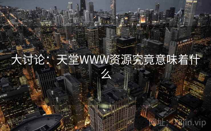 大讨论：天堂WWW资源究竟意味着什么