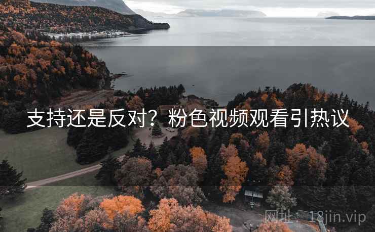 支持还是反对？粉色视频观看引热议